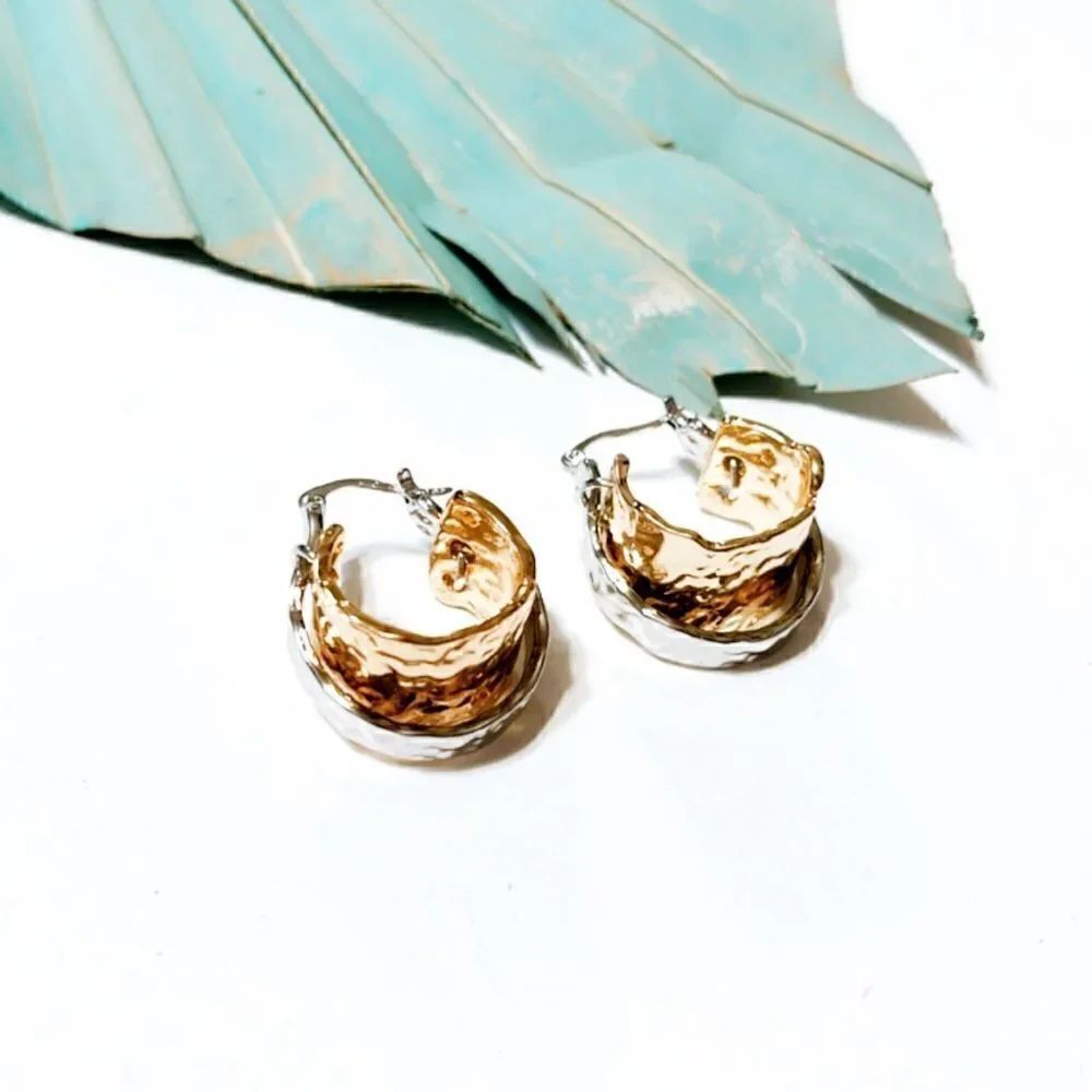 Double hoop earrings S183